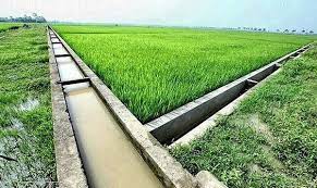 Tăng cường giải pháp thích ứng thiếu hụt nguồn nước sản xuất vụ Đông Xuân 2023-2024